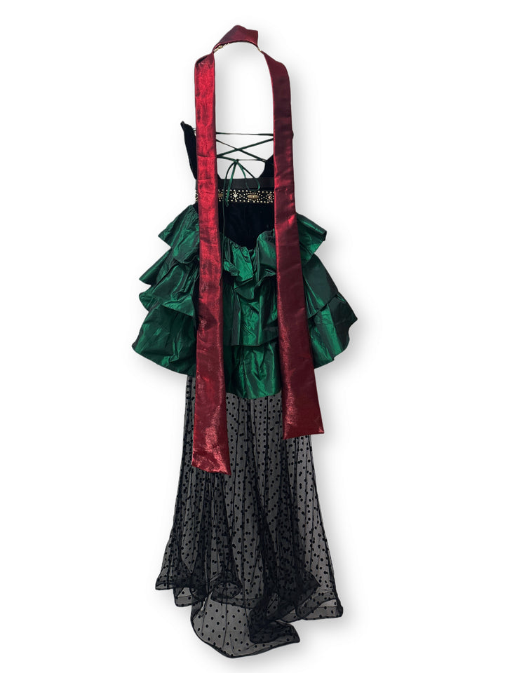 Velvet Taffeta Dress